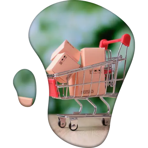 Wholesale & Distribution